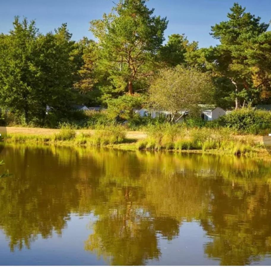 Camping Tohapi Coeur De Vendee La Boissiere-de-Montaigu Exteriör bild